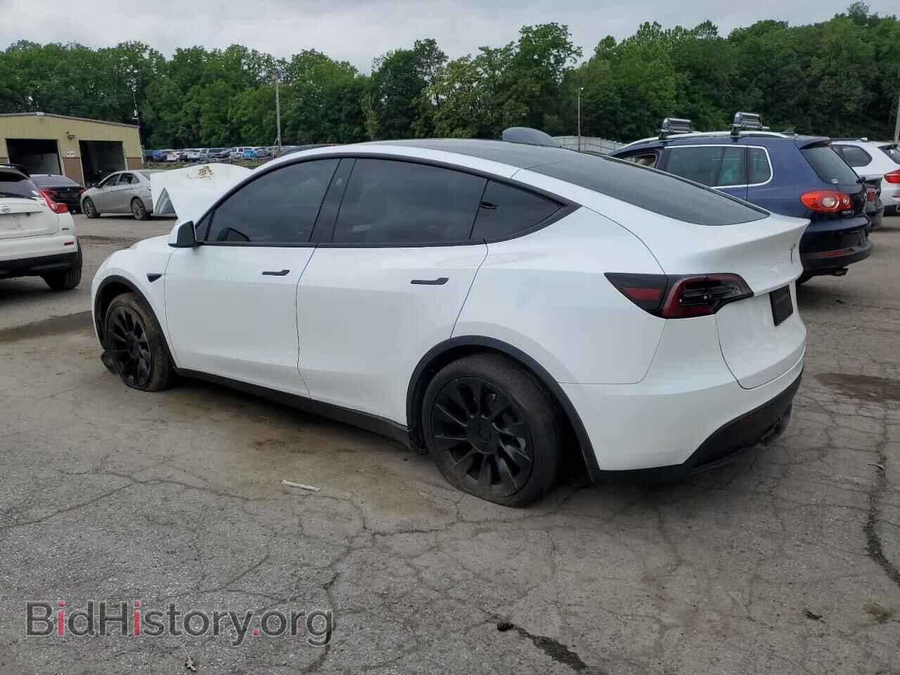 2024 TESLA MODEL Y - VIN: 7SAYGDED1RF094232 - Фото 2