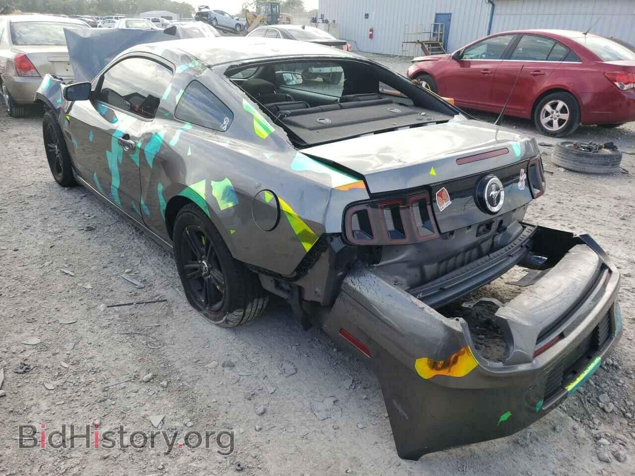 2014 FORD MUSTANG - VIN: 1ZVBP8AM3E5324572 - Фото 3
