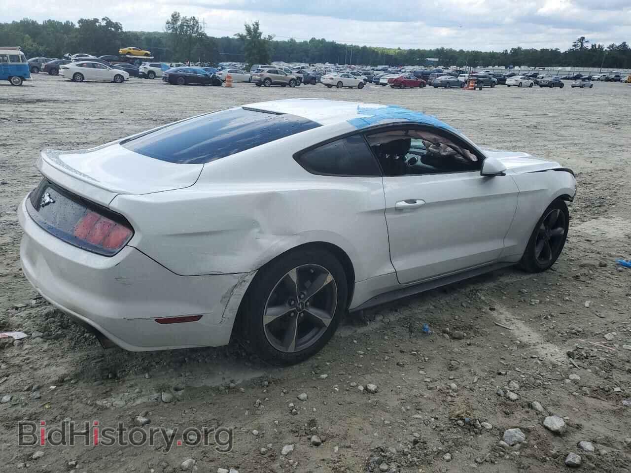2017 FORD ALL Models - VIN: 1FA6P8TH1H5208821 - Фото 3