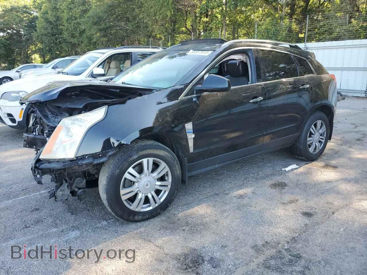 Фотография 3GYFNAE31CS556345 - CADILLAC SRX 2012