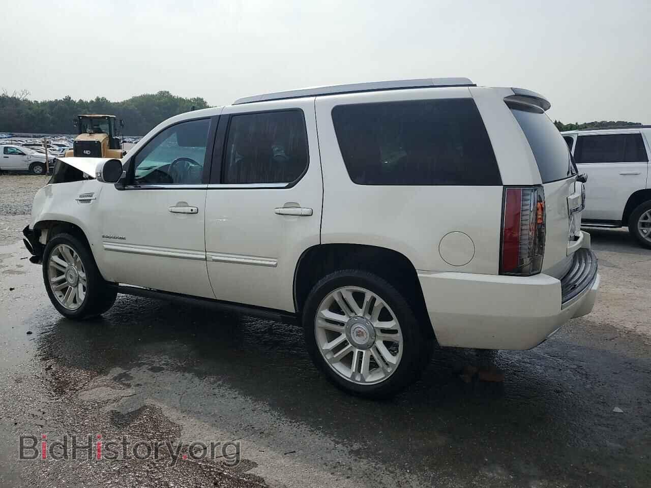 2013 CADILLAC ESCALADE - VIN: 1GYS3CEF6DR141178 - Фото 2