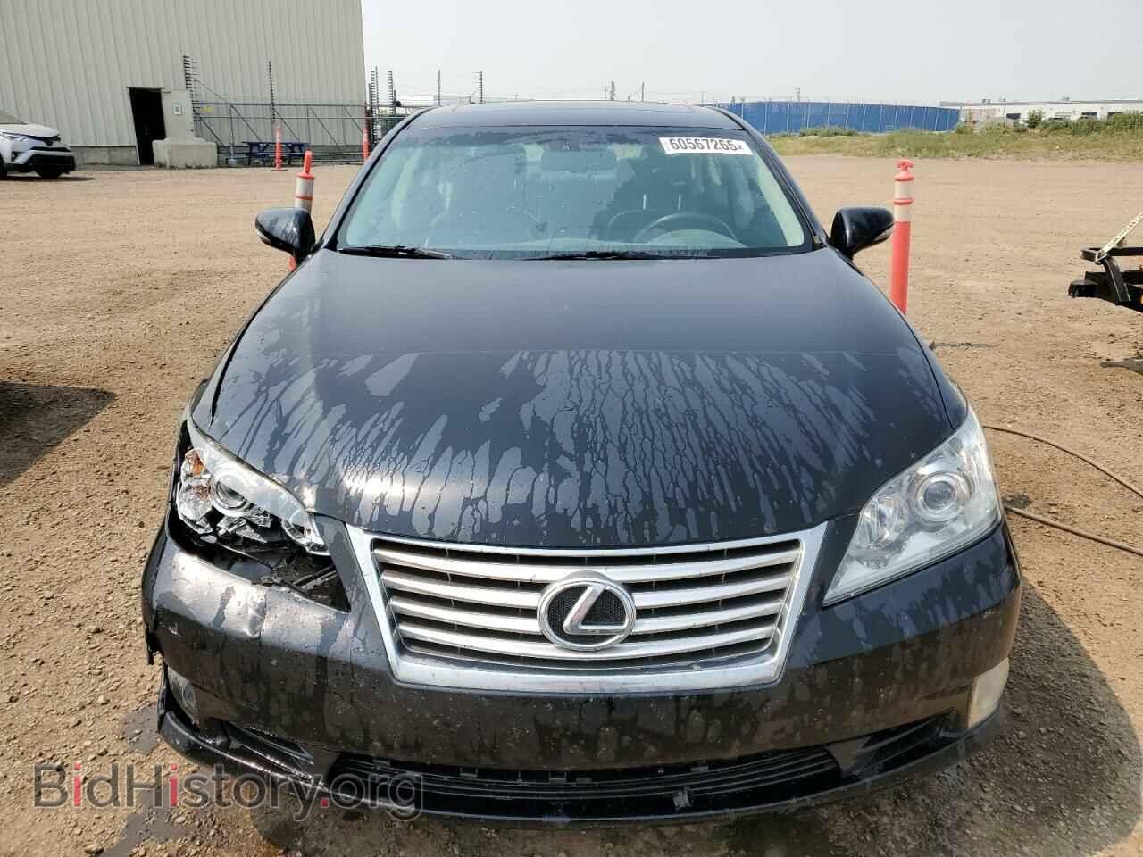 2010 LEXUS ES350 - VIN: JTHBK1EG3A2354632 - Фото 5