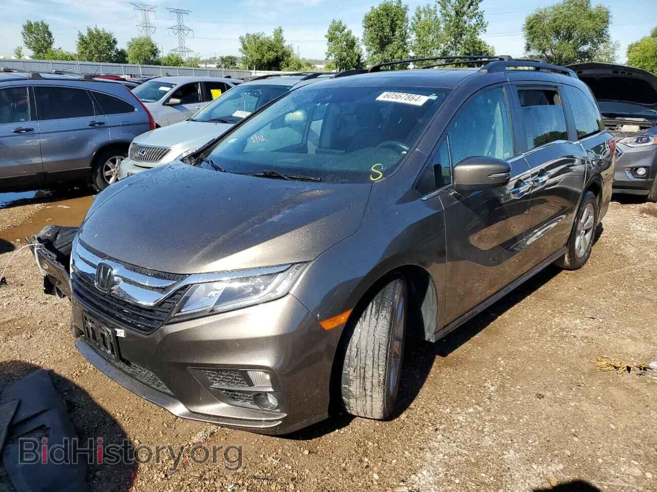 Фотография 5FNRL6H72KB091909 - HONDA All Models 2019
