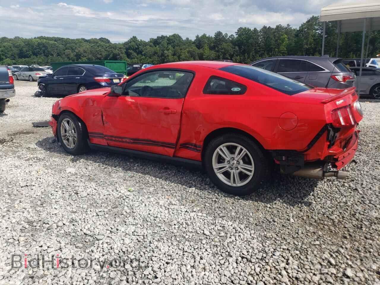 2012 FORD ALL Models - VIN: 1ZVBP8AM2C5236156 - Фото 2