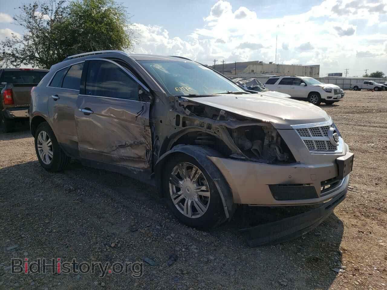 Фотография 3GYFNAE32CS503234 - CADILLAC SRX 2012