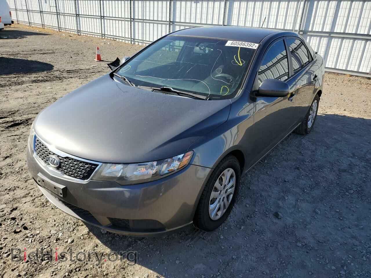 2013 KIA FORTE - VIN: KNAFU4A28D5739256 - Фото 2