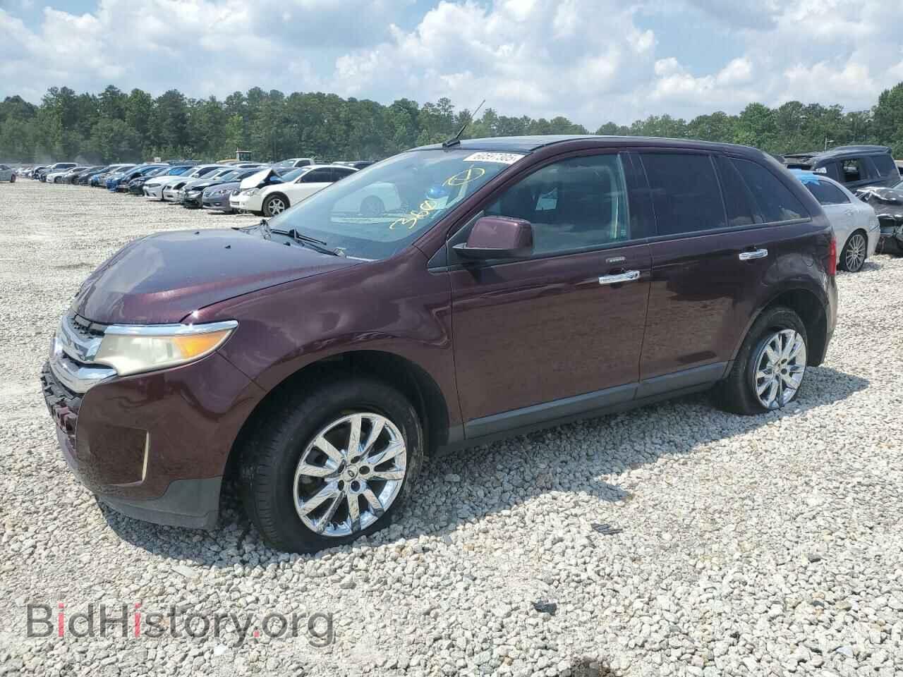 Фотография 2FMDK4JC5BBA44584 - FORD EDGE 2011