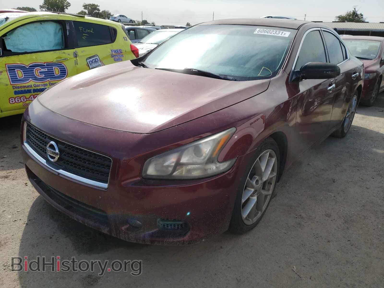 2011 NISSAN MAXIMA - VIN: 1N4AA5APXBC804940 - Фото 2