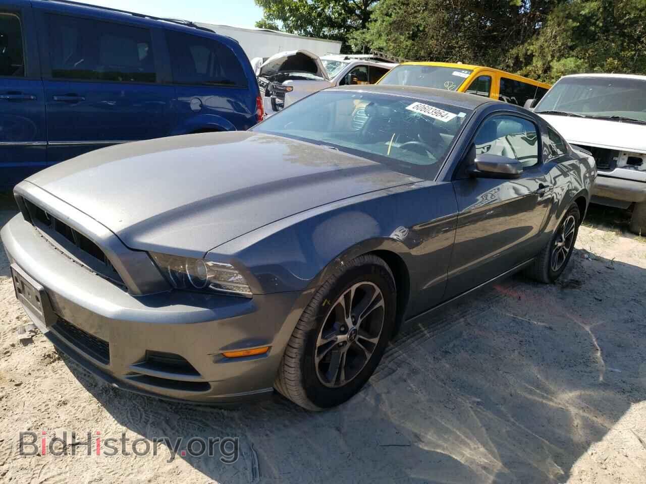 Photo 1ZVBP8AM8D5267560 - FORD ALL Models 2013