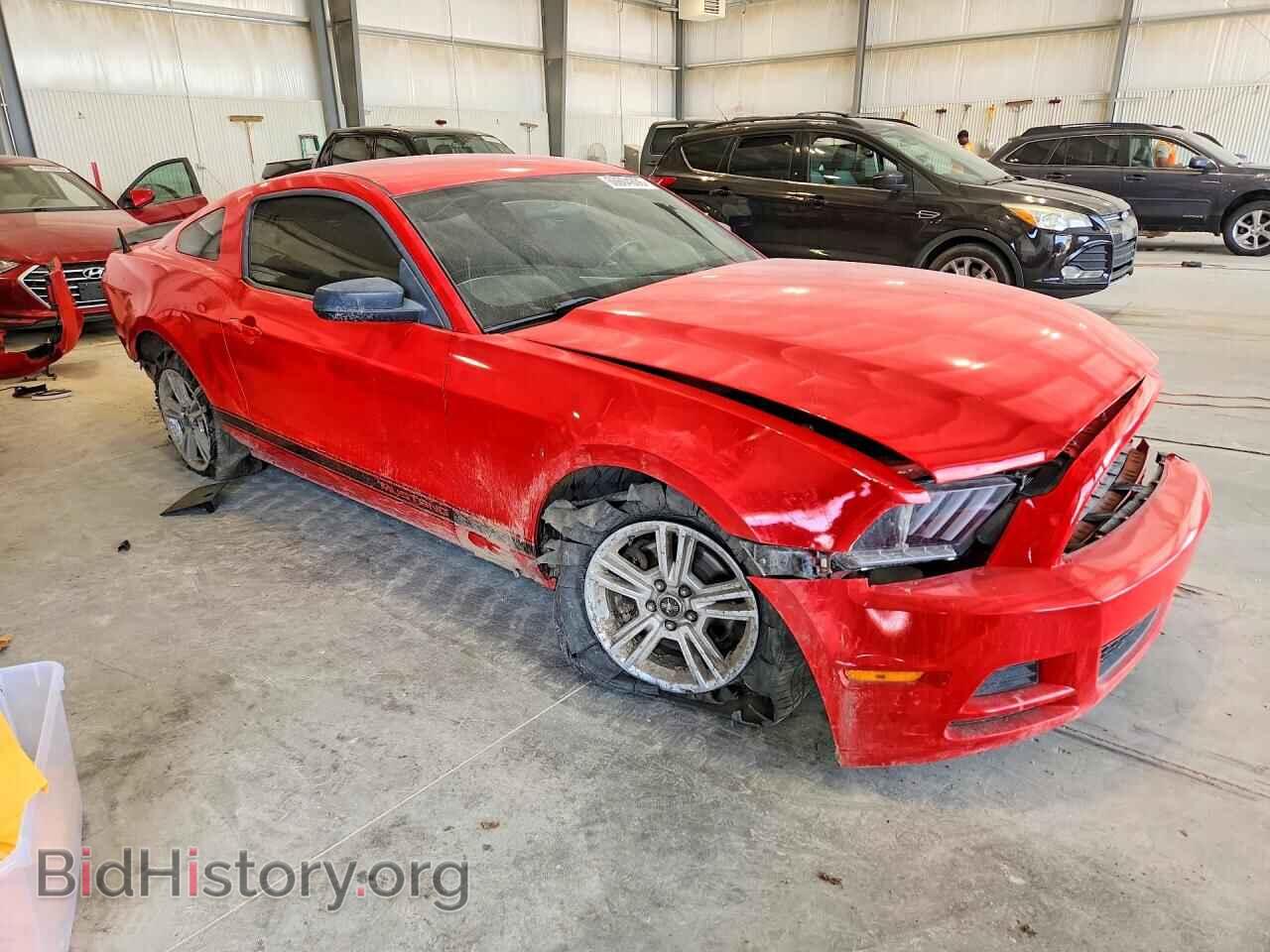 2013 FORD MUSTANG - VIN: 1ZVBP8AM9D5219629 - Photo 4