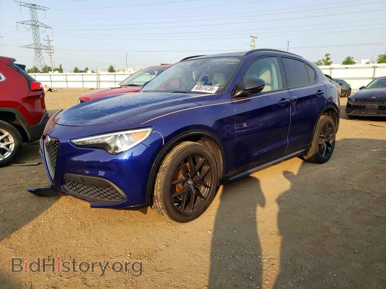 Фотография ZASPAKAN7L7C83100 - ALFA ROMEO STELVIO 2020