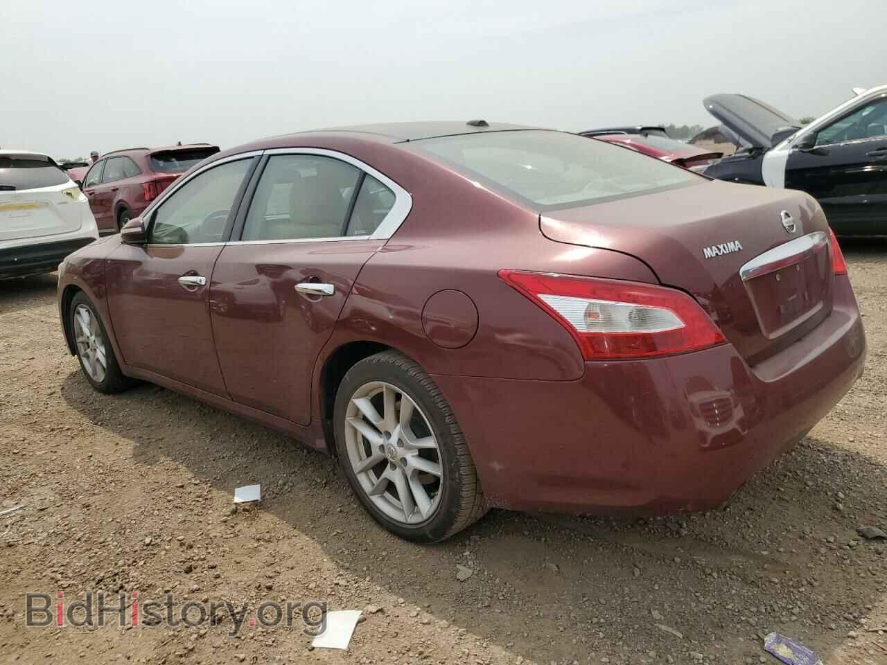 2009 NISSAN MAXIMA - VIN: 1N4AA51E99C826209 - Фото 2