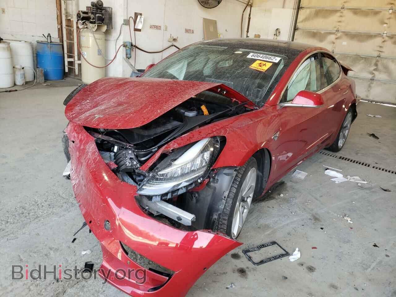 2019 TESLA MODEL 3 - VIN: 5YJ3E1EB5KF194558 - Фото 2
