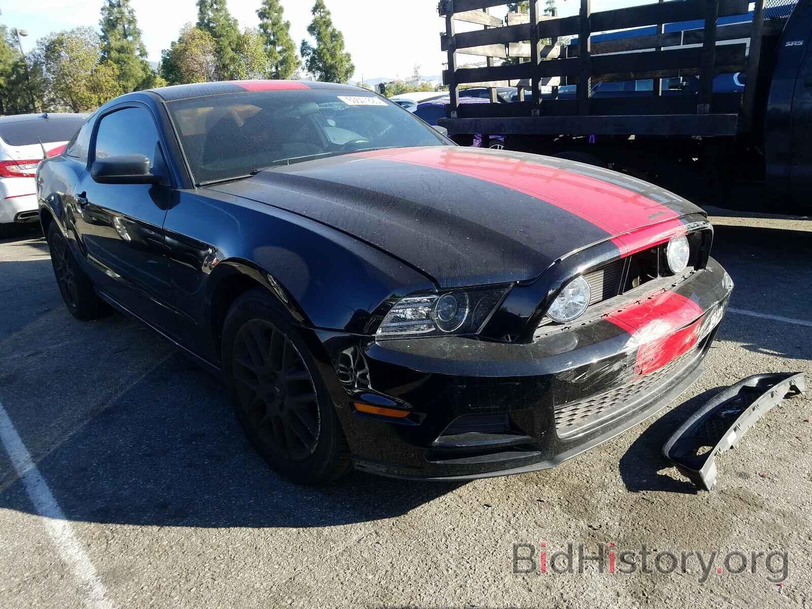 Photo 1ZVBP8AM9E5327508 - FORD MUSTANG 2014