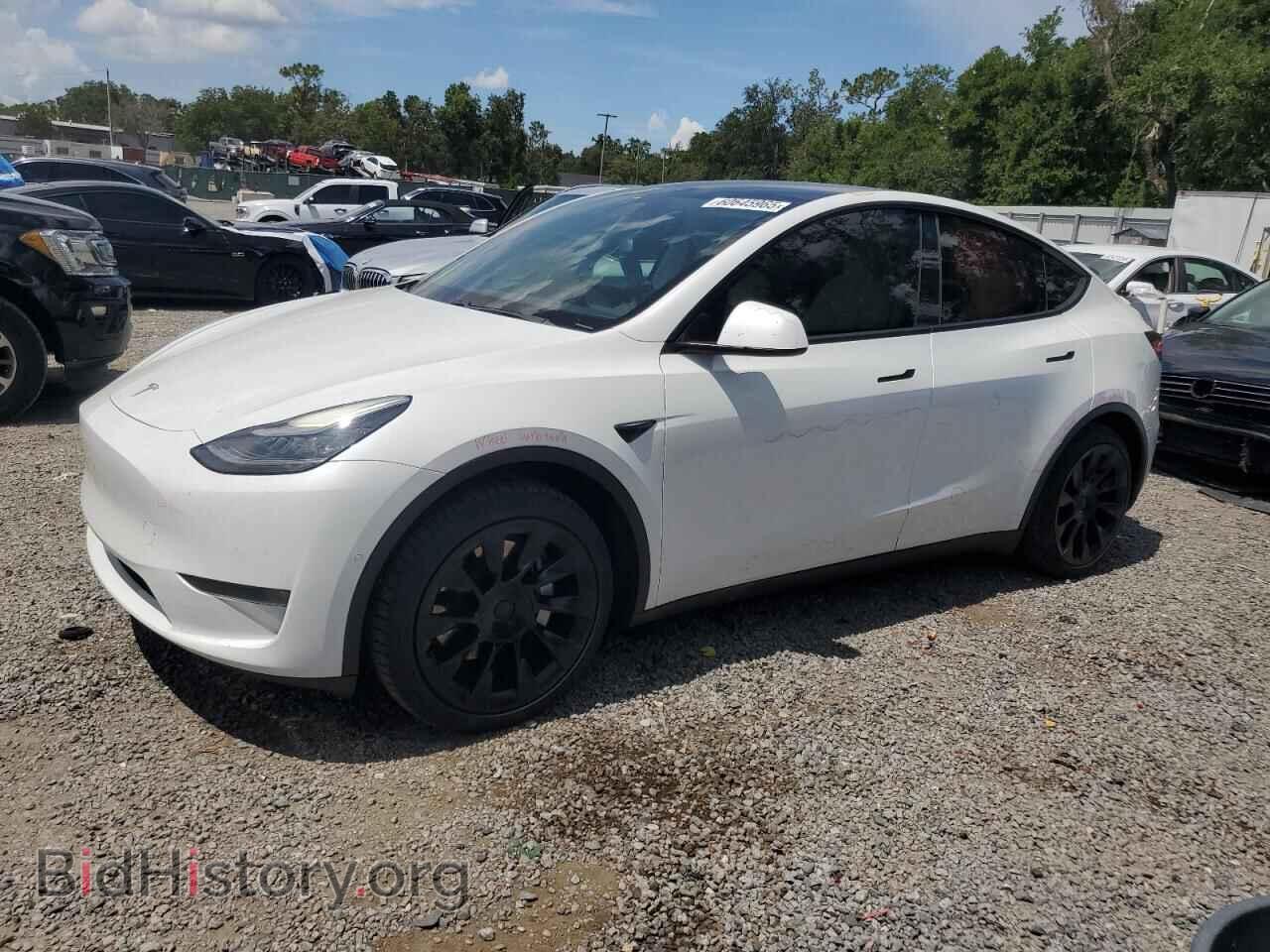 Photo 5YJYGDEE7LF039216 - TESLA MODEL Y 2020