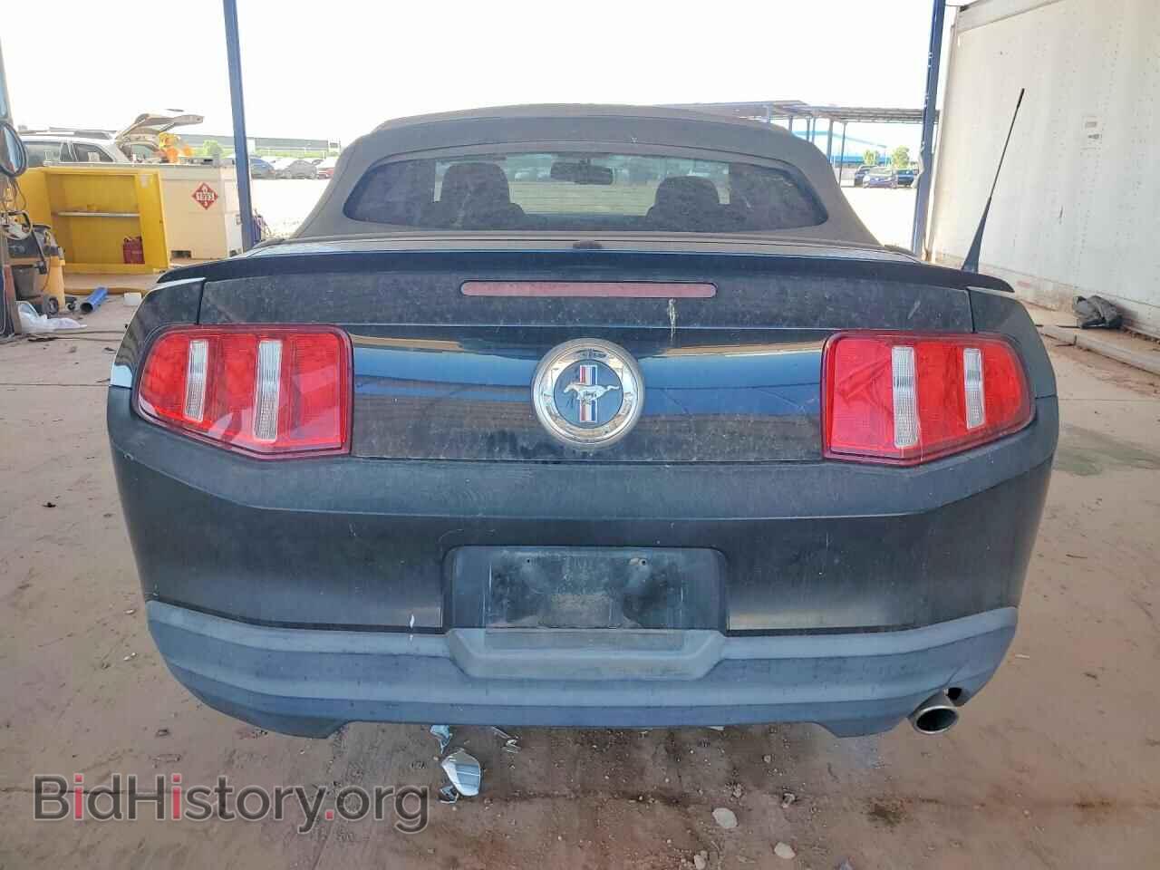 2010 FORD MUSTANG - VIN: 1ZVBP8EN5A5123995 - Фото 6