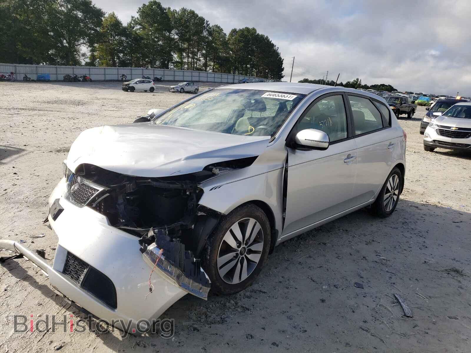 2013 KIA FORTE - VIN: KNAFU5A24D5675111 - Фото 2