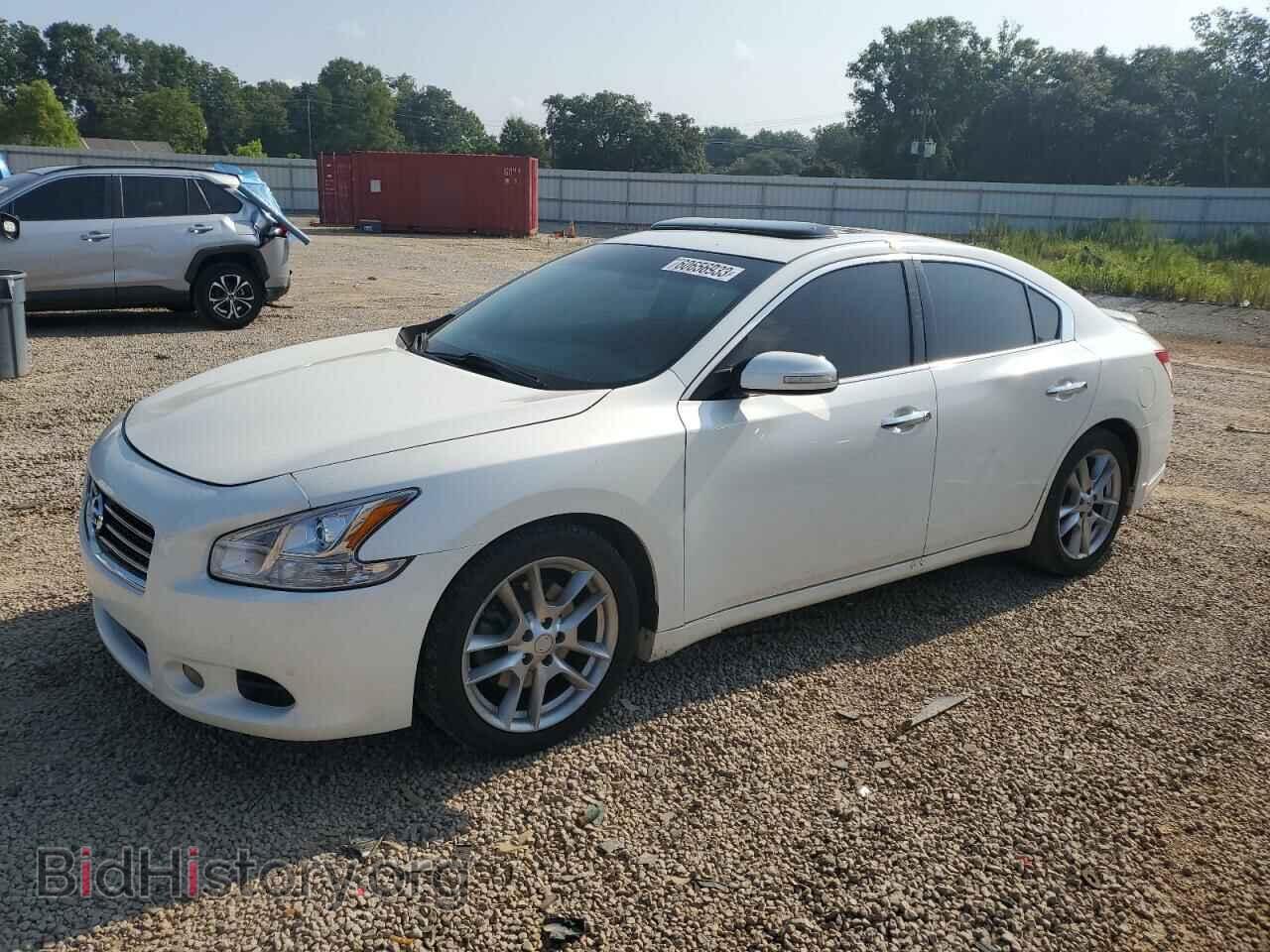 Photo 1N4AA5AP4BC825668 - NISSAN MAXIMA 2011