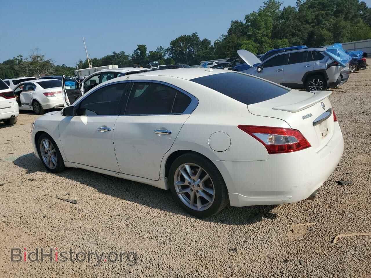2011 NISSAN MAXIMA - VIN: 1N4AA5AP4BC825668 - Фото 2