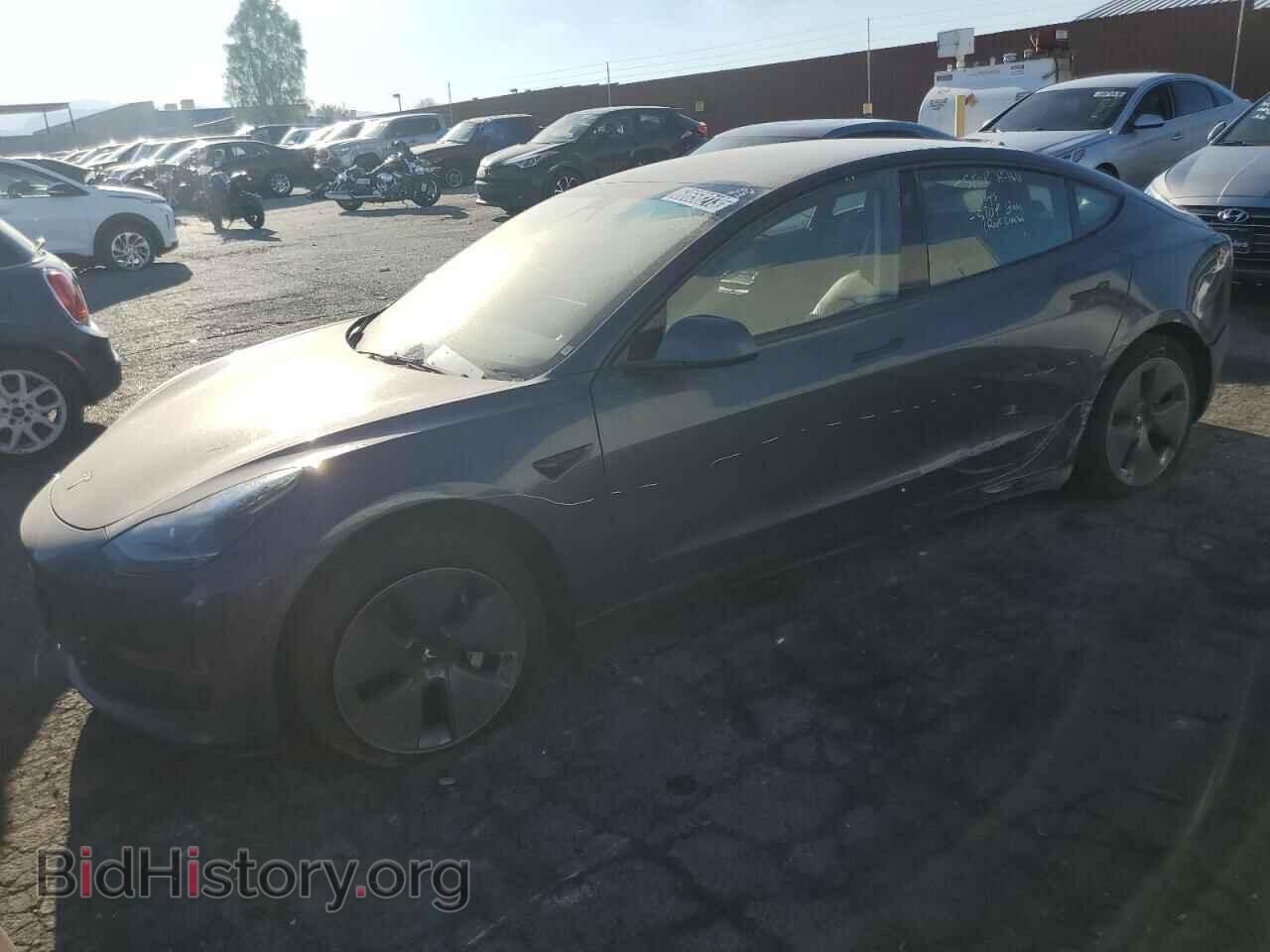 Фотография 5YJ3E1EA5NF304018 - TESLA MODEL 3 2022