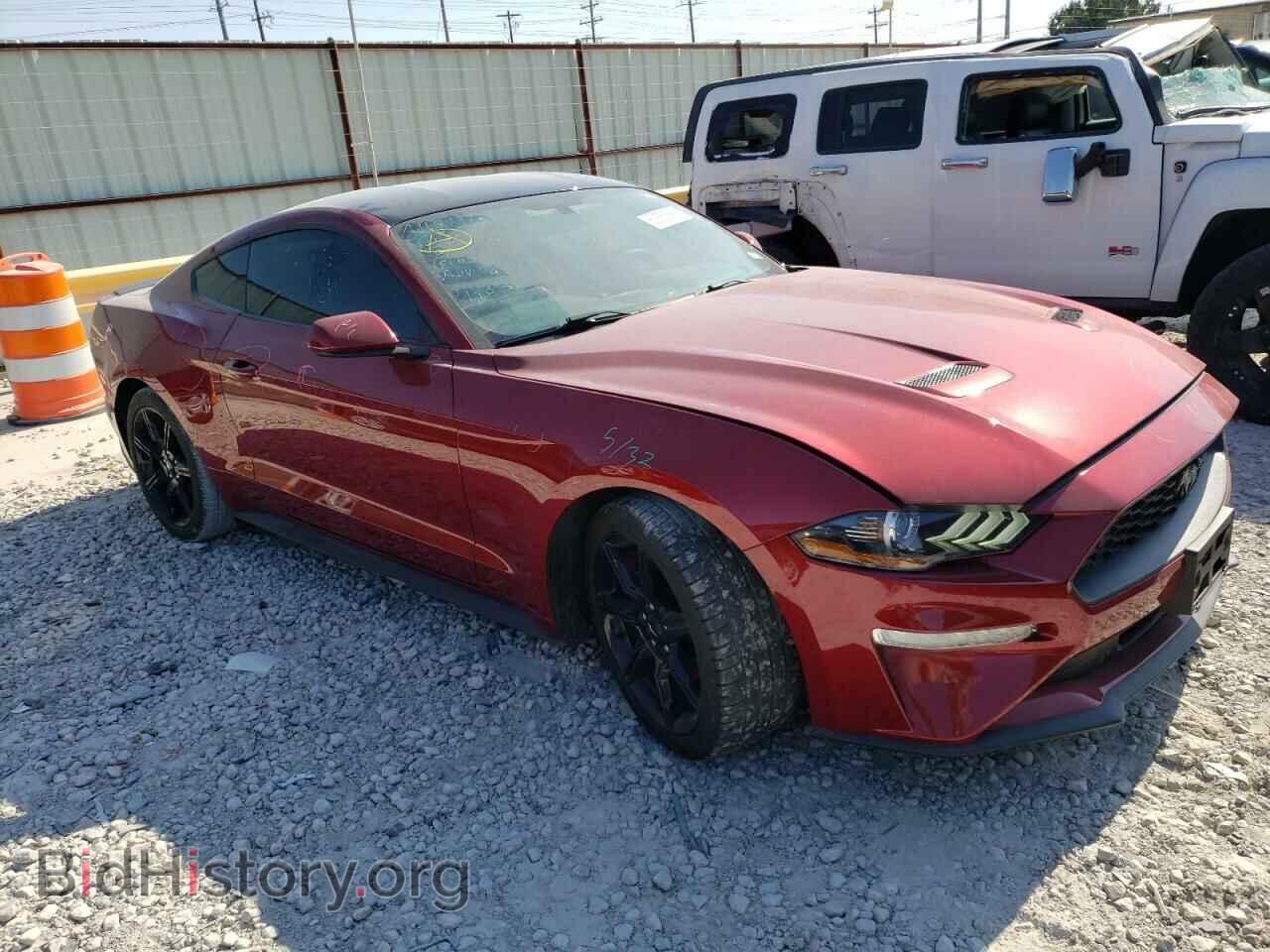 2019 FORD ALL Models - VIN: 1FA6P8THXK5147816 - Фото 4