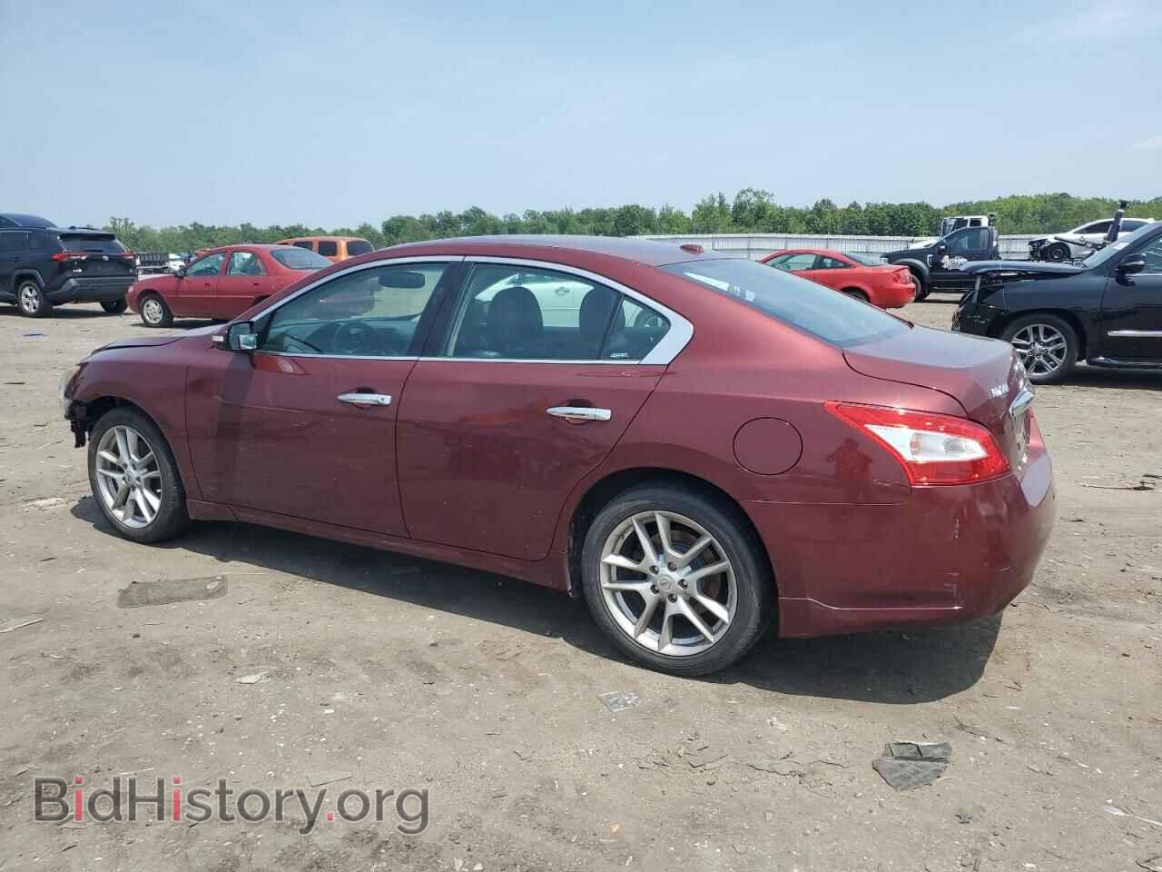2010 NISSAN MAXIMA - VIN: 1N4AA5AP9AC851942 - Фото 2