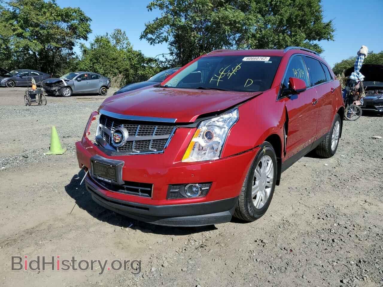 2011 CADILLAC SRX - VIN: 3GYFNDEY7BS518033 - Фото 2