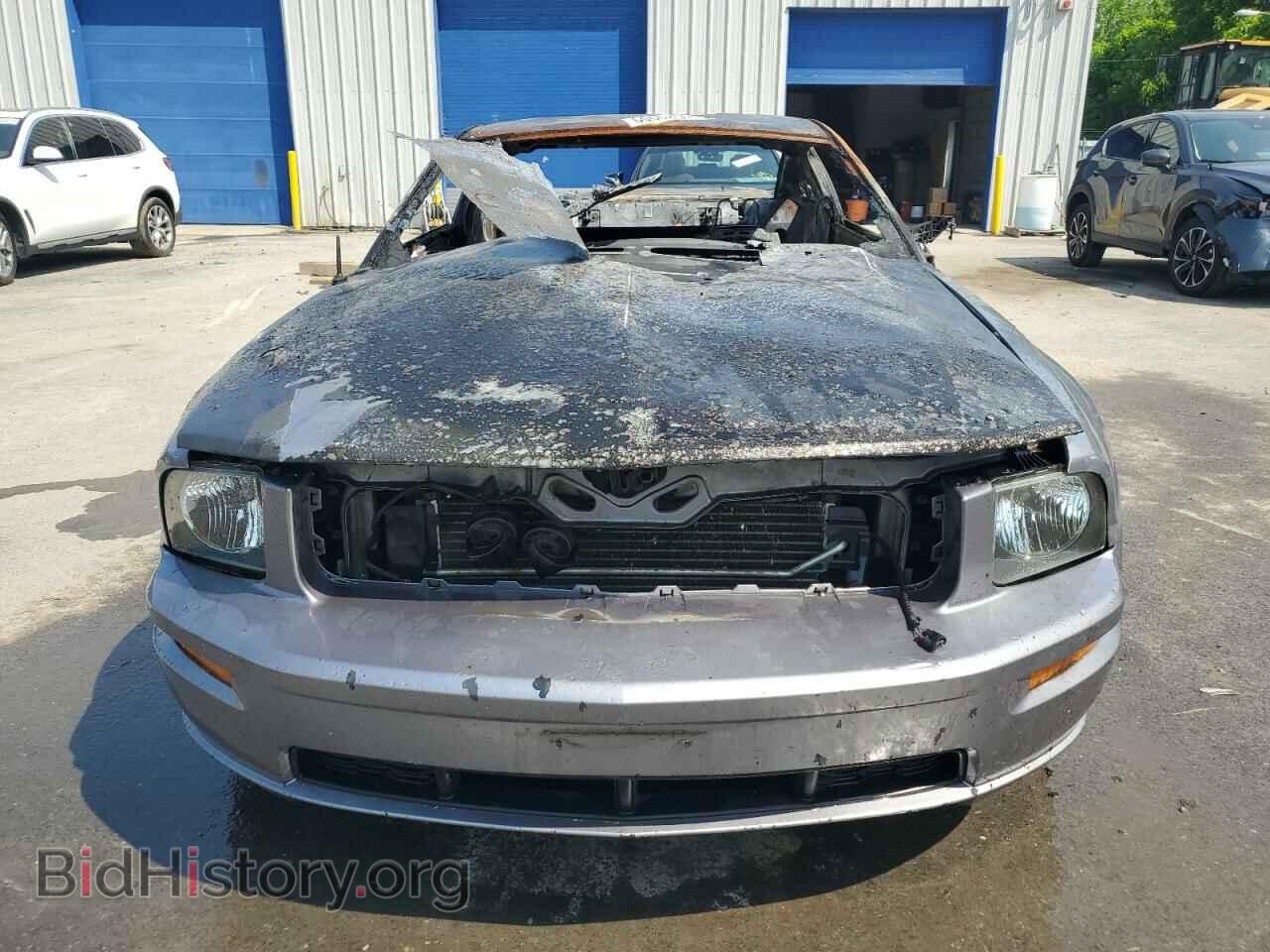 2006 FORD MUSTANG - VIN: 1ZVHT82H465236848 - Фото 5