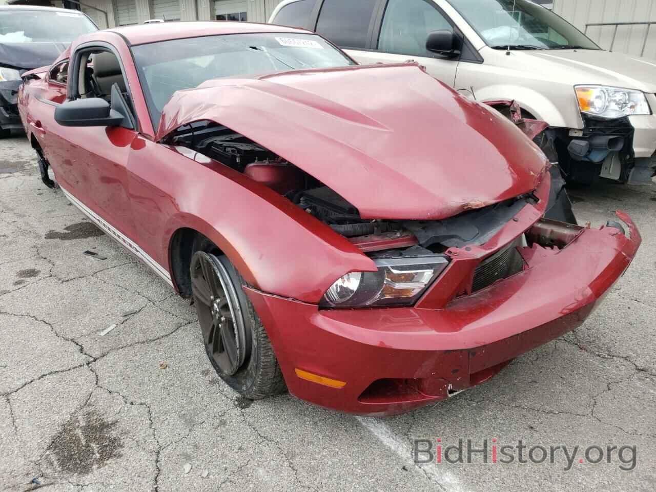 Photo 1ZVBP8AM3B5105879 - FORD MUSTANG 2011