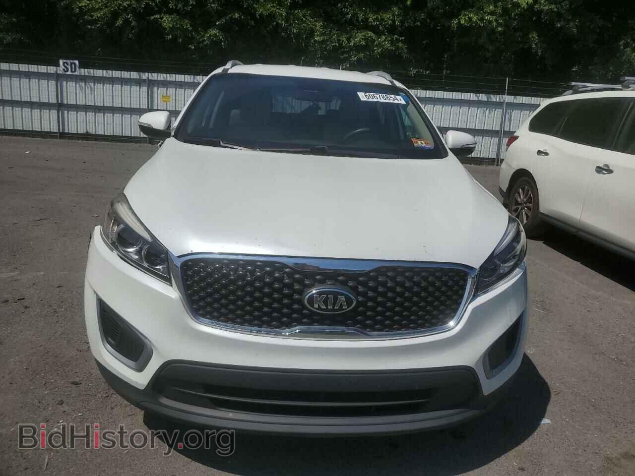 2017 KIA SORENTO - VIN: 5XYPGDA57HG324497 - Фото 5