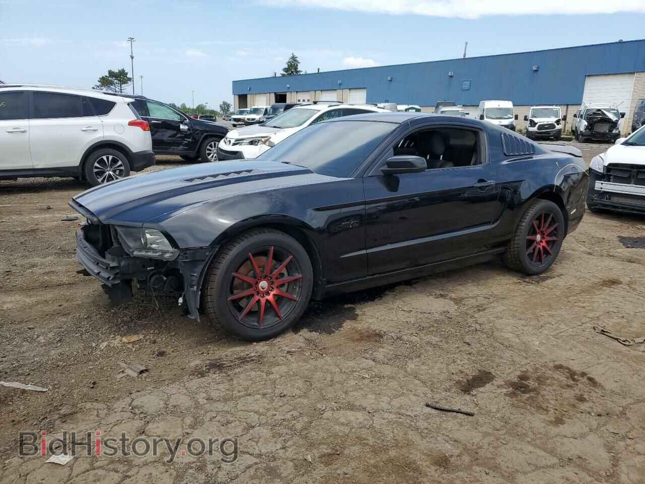 Фотография 1ZVBP8CF6D5278040 - FORD MUSTANG 2013