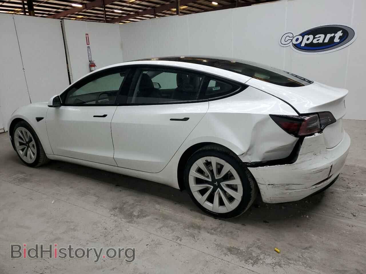 2023 TESLA MODEL 3 - VIN: 5YJ3E1EA2PF439119 - Фото 2