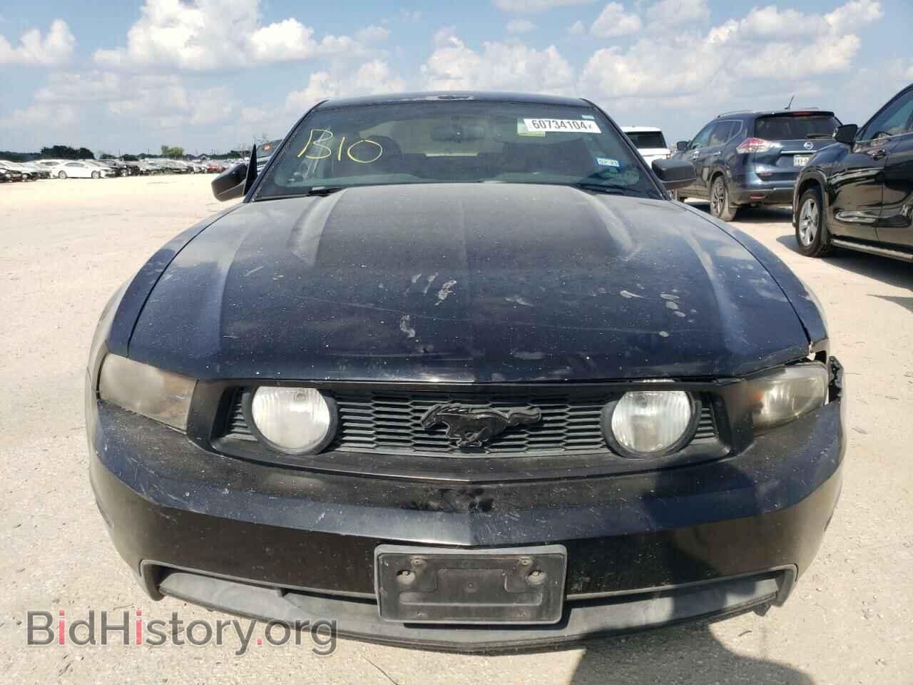 2010 FORD MUSTANG - VIN: 1ZVBP8CH3A5168463 - Фото 5