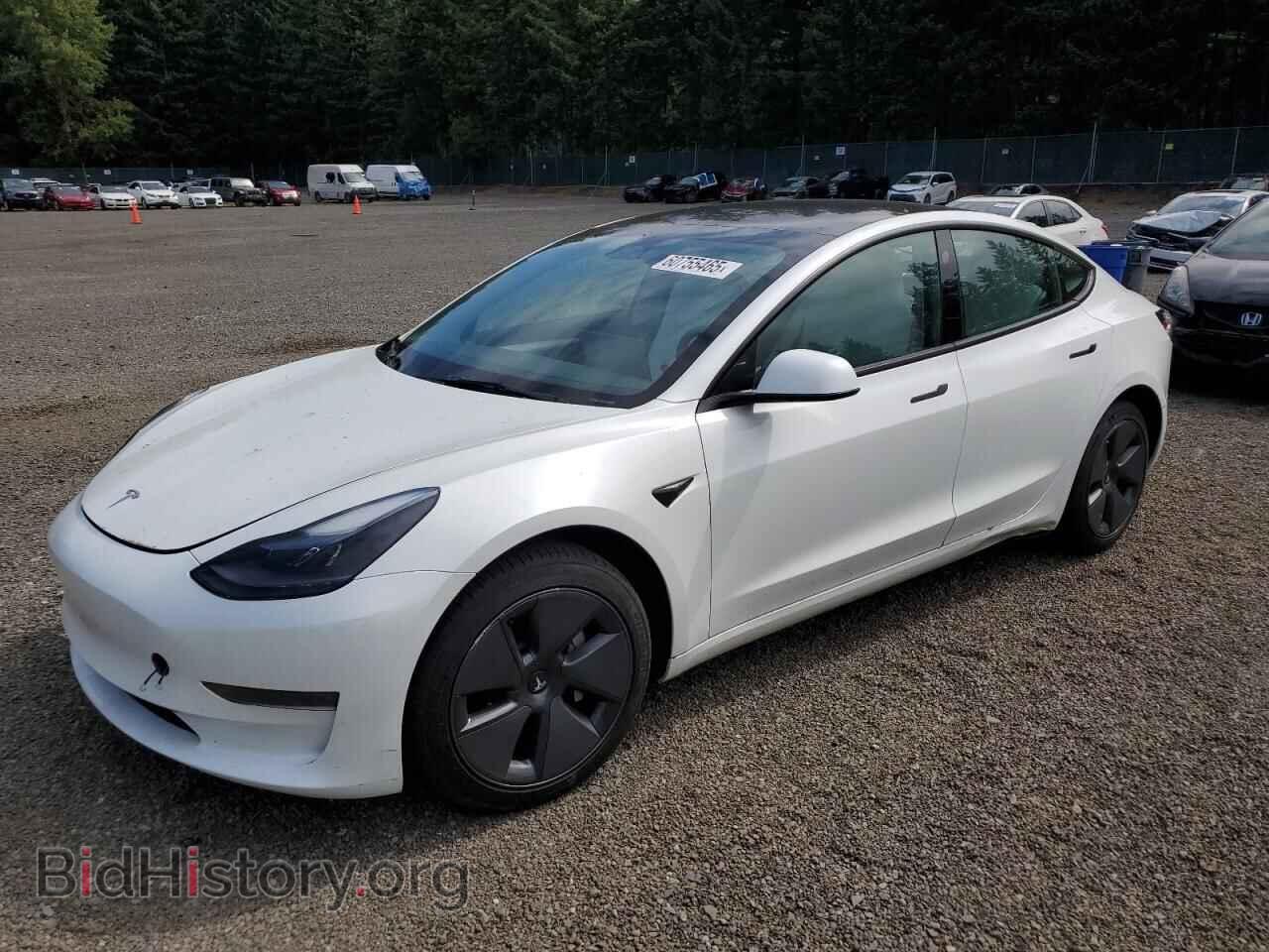 Photo 5YJ3E1EA5PF464743 - TESLA MODEL 3 2023
