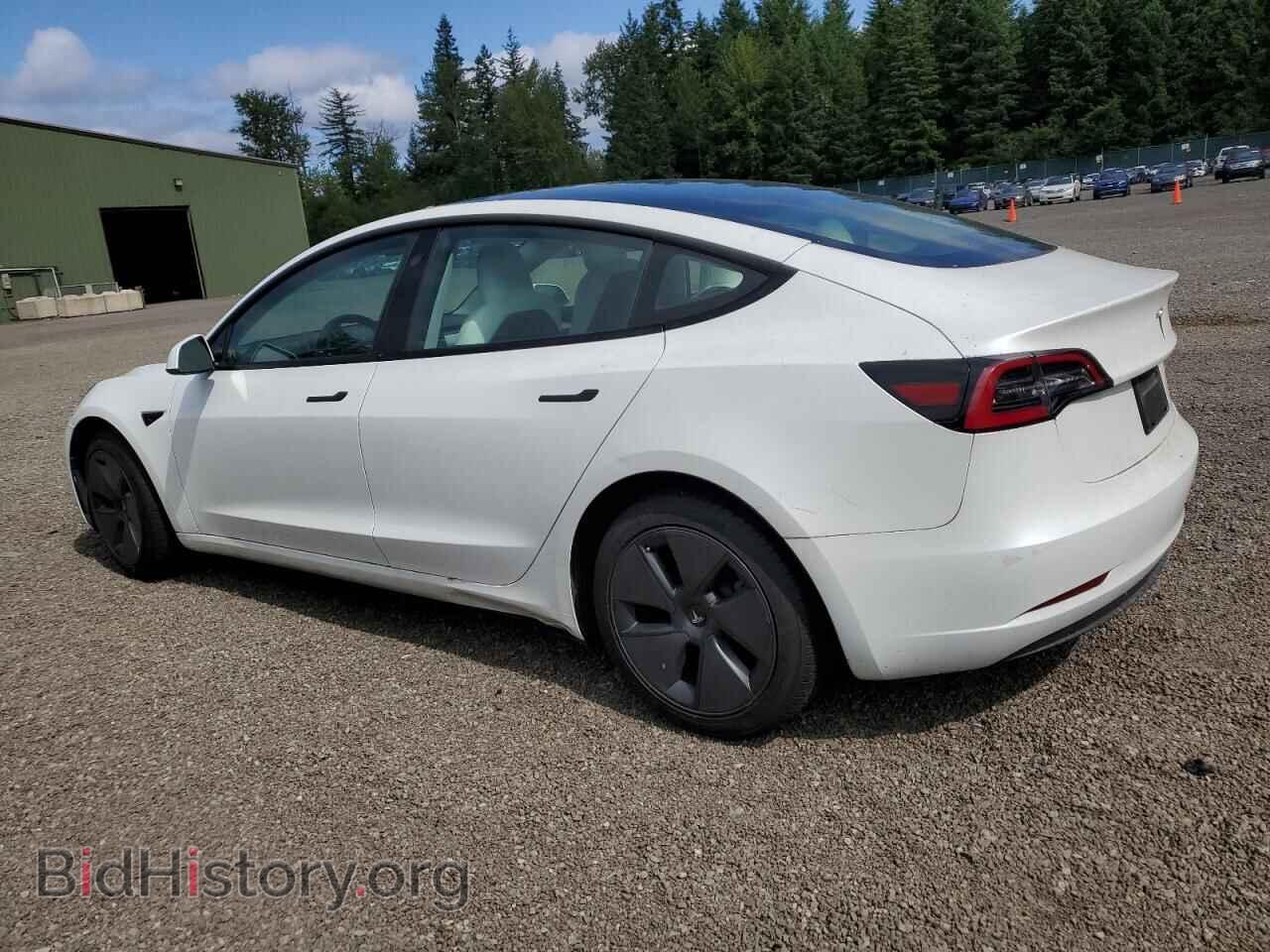 2023 TESLA MODEL 3 - VIN: 5YJ3E1EA5PF464743 - Фото 2
