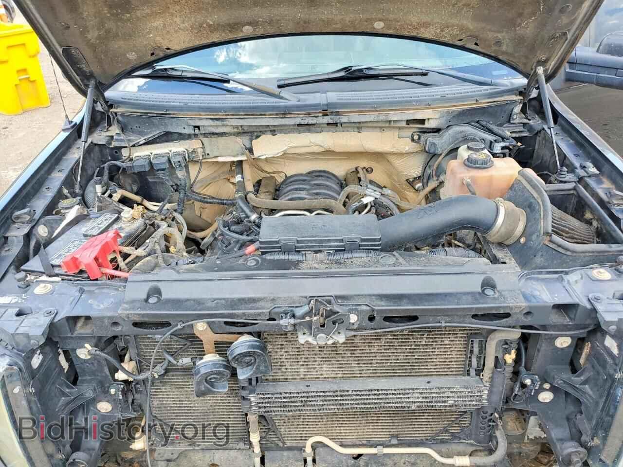 2013 FORD F150 - VIN: 1FTFW1EF8DFC32084 - Photo 11