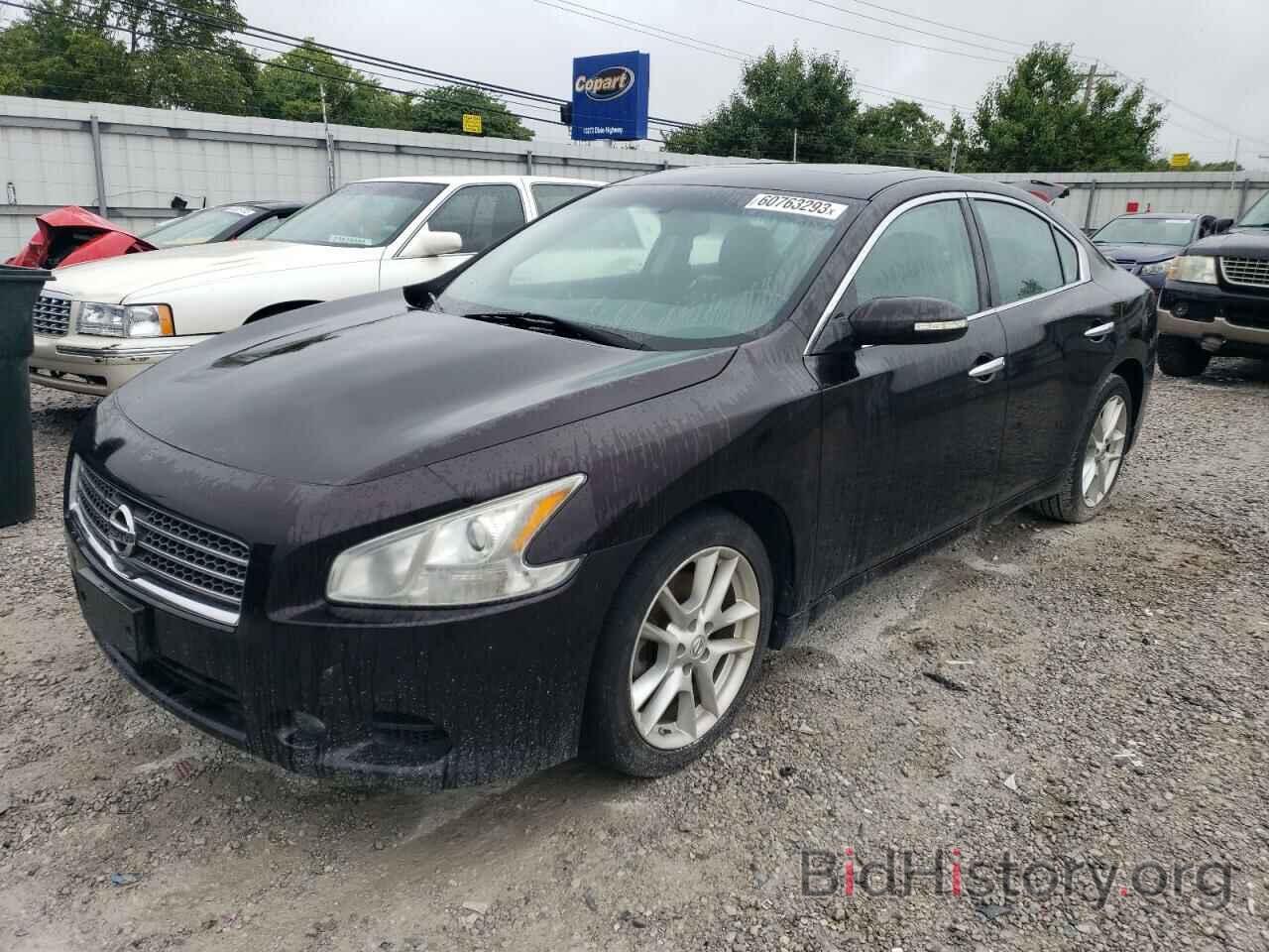 Фотография 1N4AA5AP3AC828575 - NISSAN MAXIMA 2010