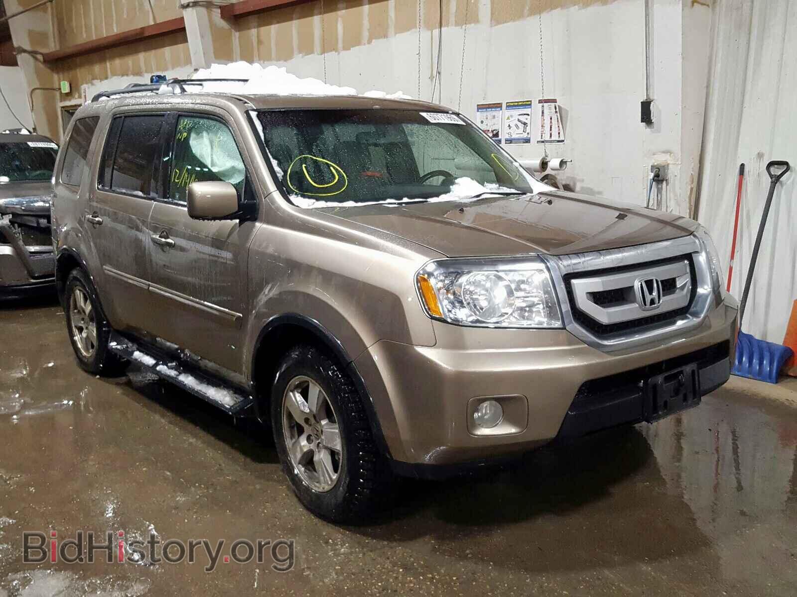 Фотография 5FNYF4H59BB085000 - HONDA PILOT 2011