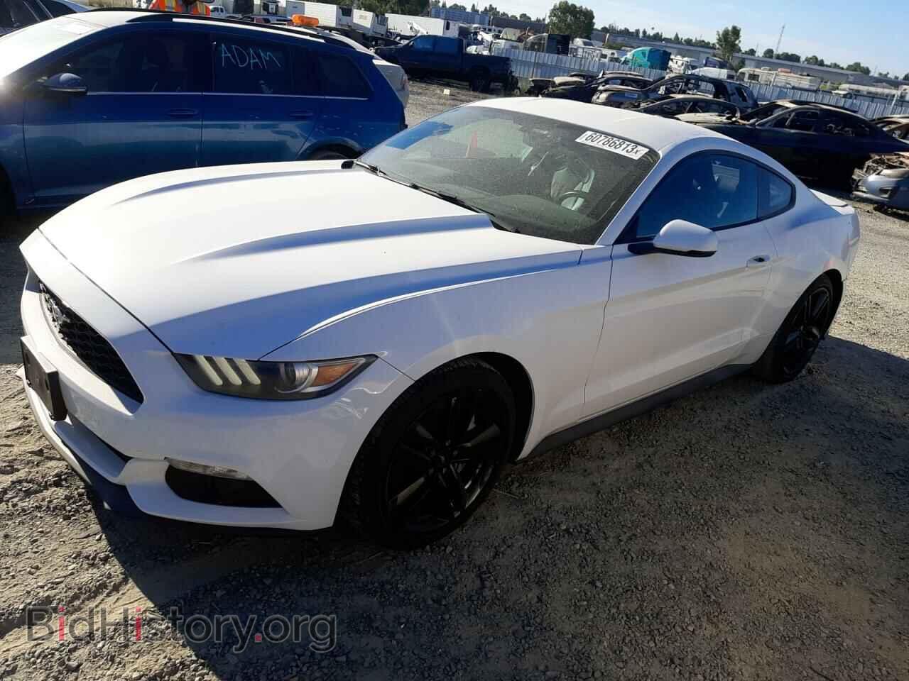 Photo 1FA6P8TH0G5261332 - FORD ALL Models 2016