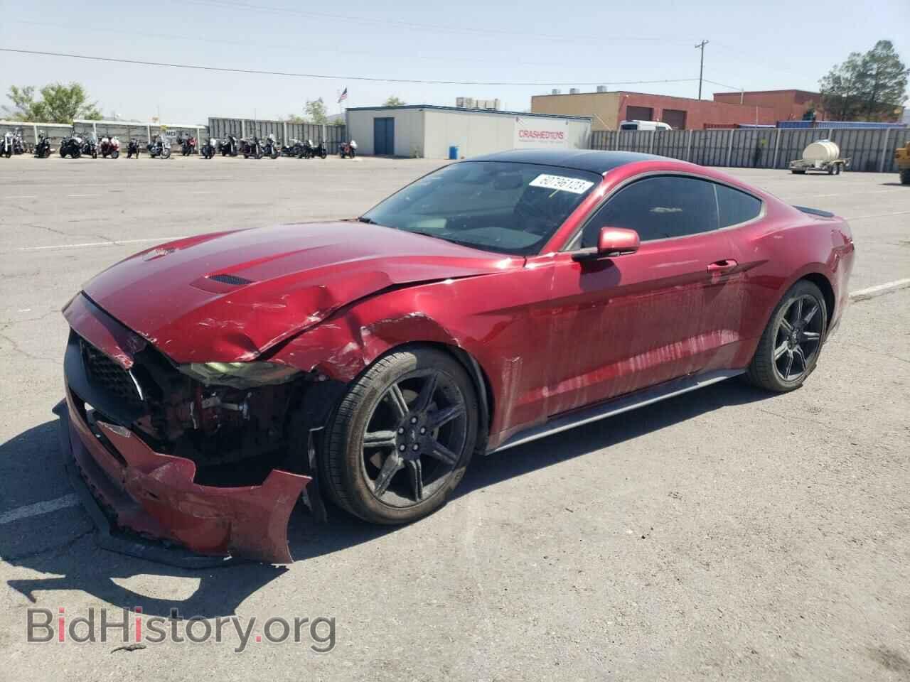 Фотография 1FA6P8TH3K5168992 - FORD ALL Models 2019