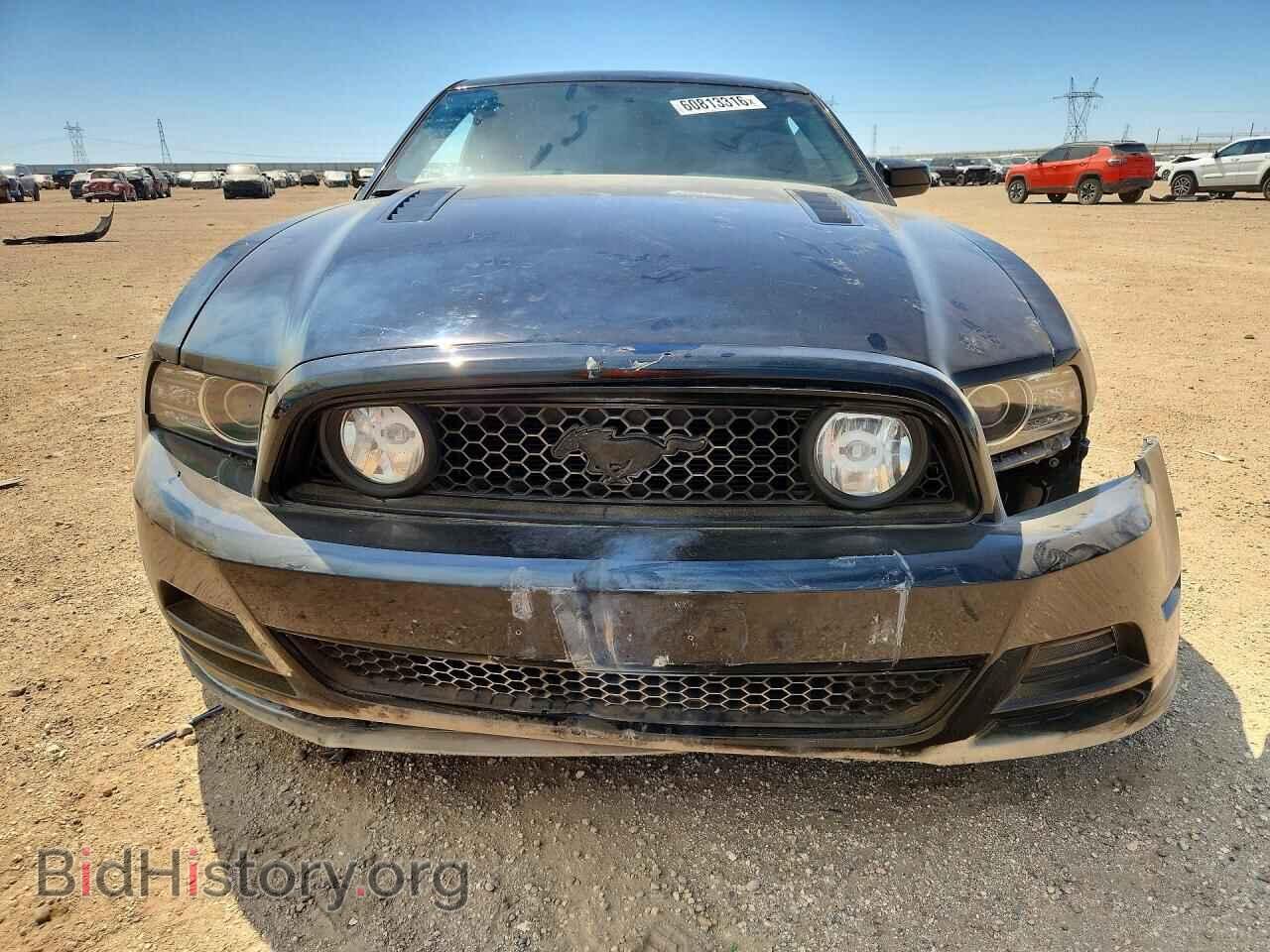 2013 FORD MUSTANG - VIN: 1ZVBP8CF5D5283214 - Photo 5