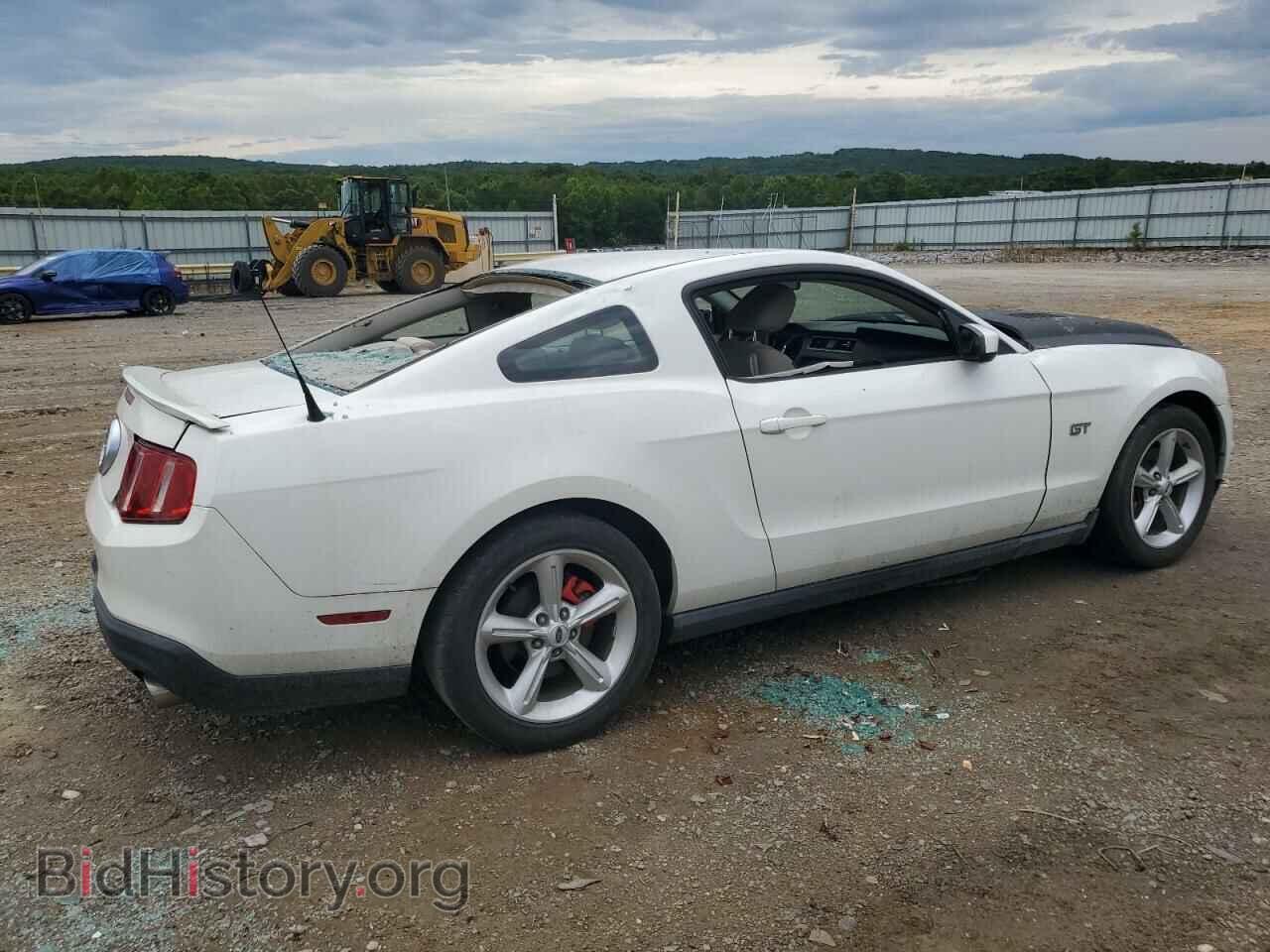 2010 FORD MUSTANG - VIN: 1ZVBP8CH0A5120340 - Фото 3