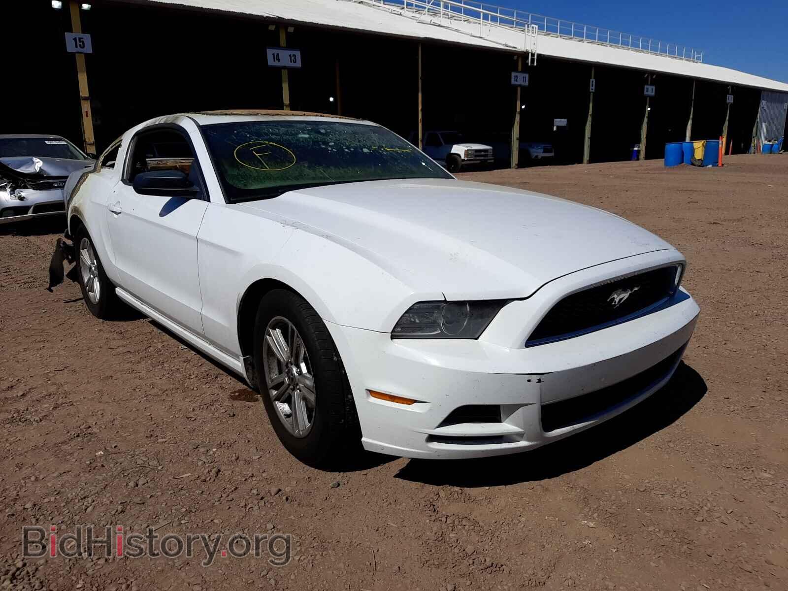 Photo 1ZVBP8AMXE5221987 - FORD MUSTANG 2014