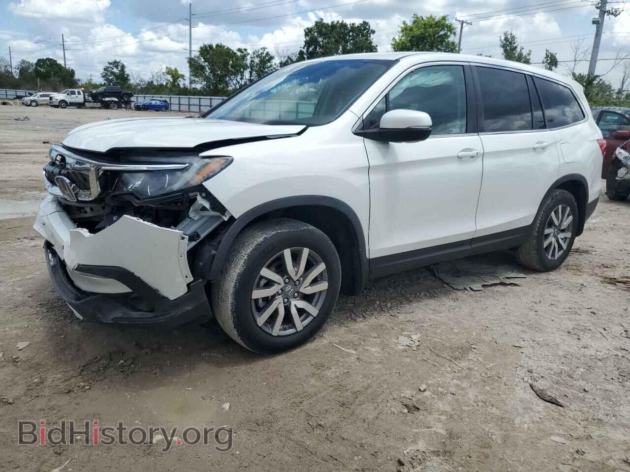 Photo 5FNYF5H53MB014660 - HONDA PILOT 2021