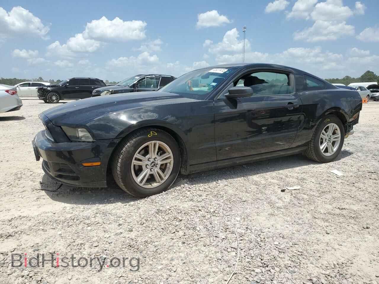 Photo 1ZVBP8AM8D5279143 - FORD ALL Models 2013