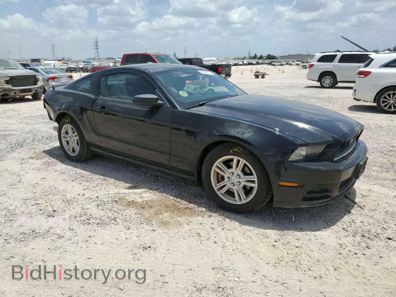 2013 FORD ALL Models - VIN: 1ZVBP8AM8D5279143 - Фото 4