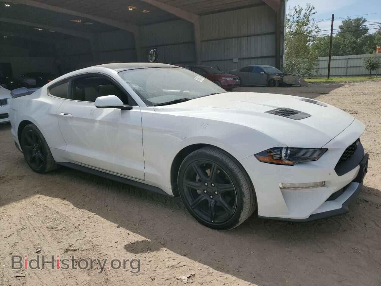 2019 FORD ALL Models - VIN: 1FA6P8TH3K5106007 - Фото 4