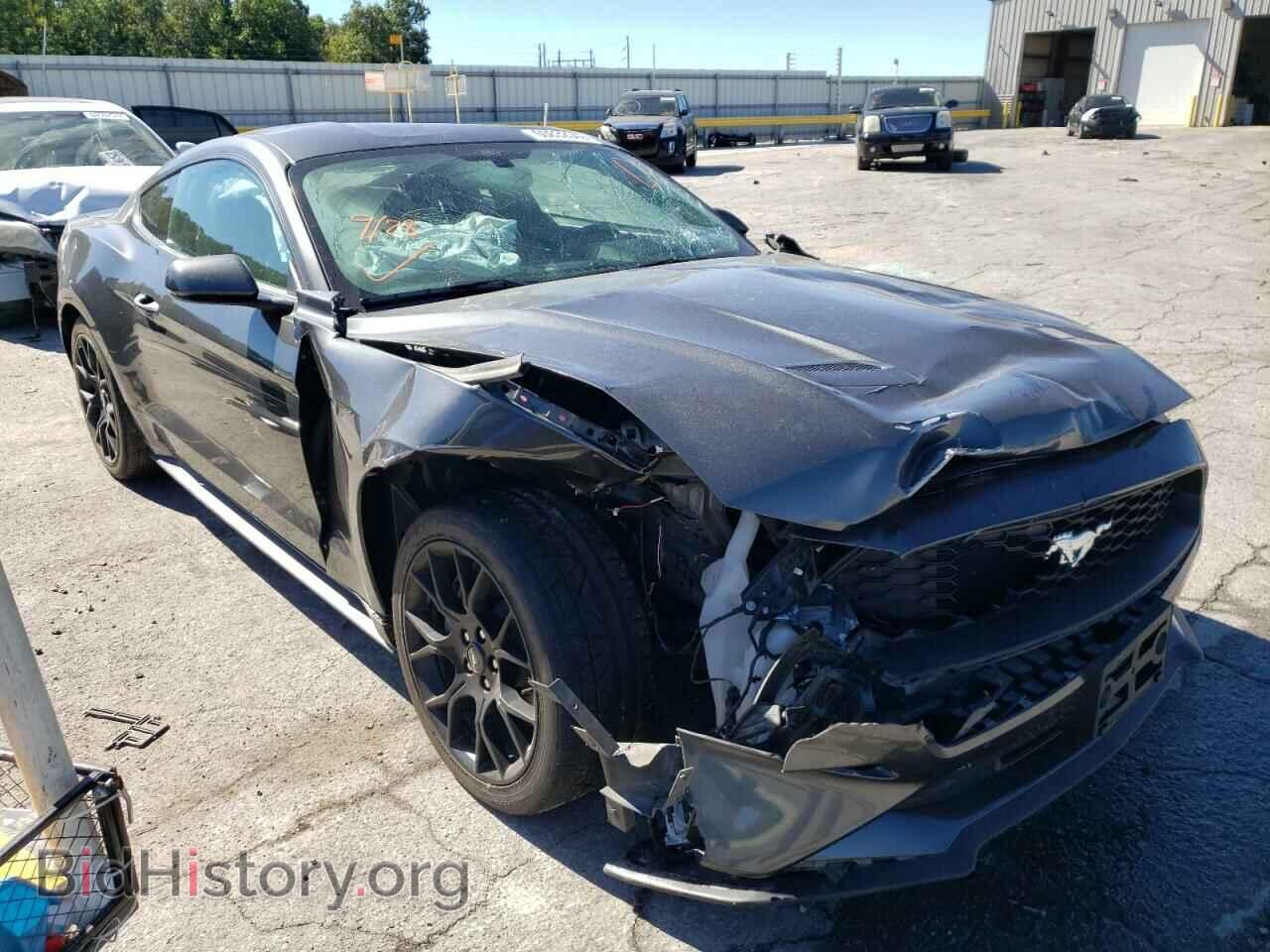 Фотография 1FA6P8TH5K5189844 - FORD ALL Models 2019