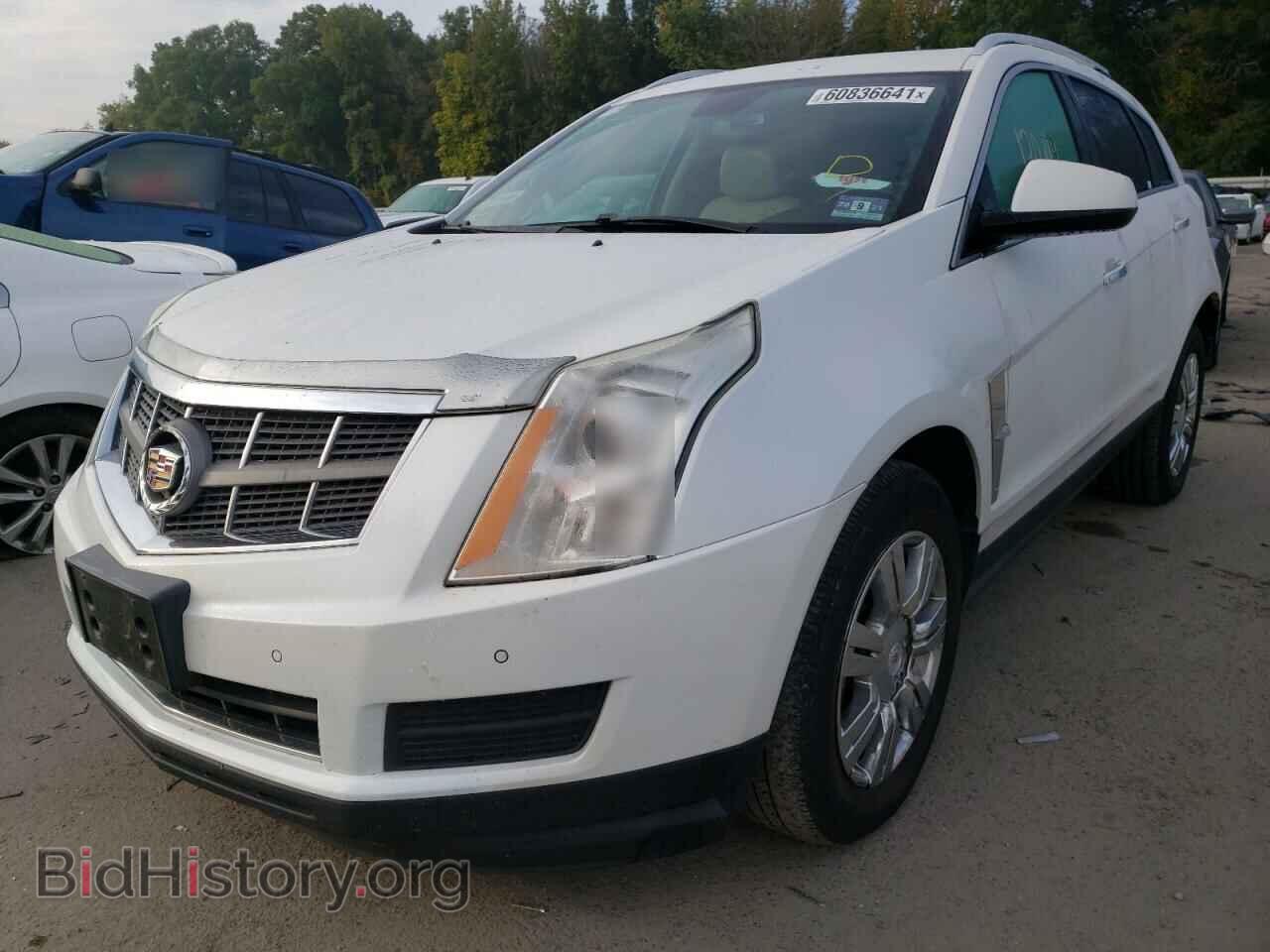 2012 CADILLAC SRX - VIN: 3GYFNAE37CS584523 - Photo 2