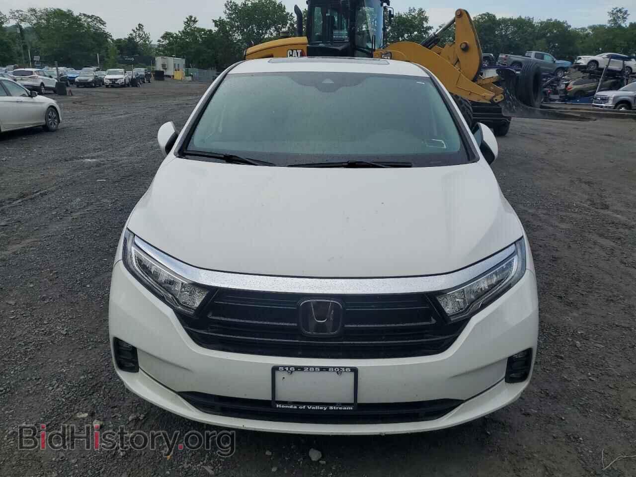 2024 HONDA All Models - VIN: 5FNRL6H62RB022168 - Фото 5